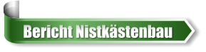 Bericht Nistkstenbau